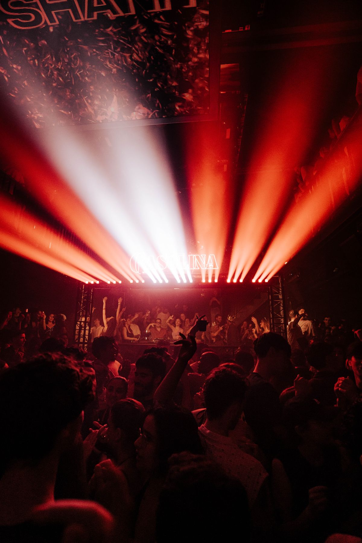 Hands in the air during a Gasolina reggaeton set